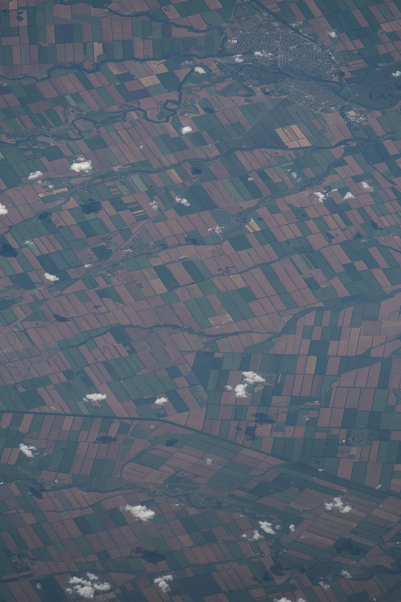 Photo of Staroderevyankovskaya