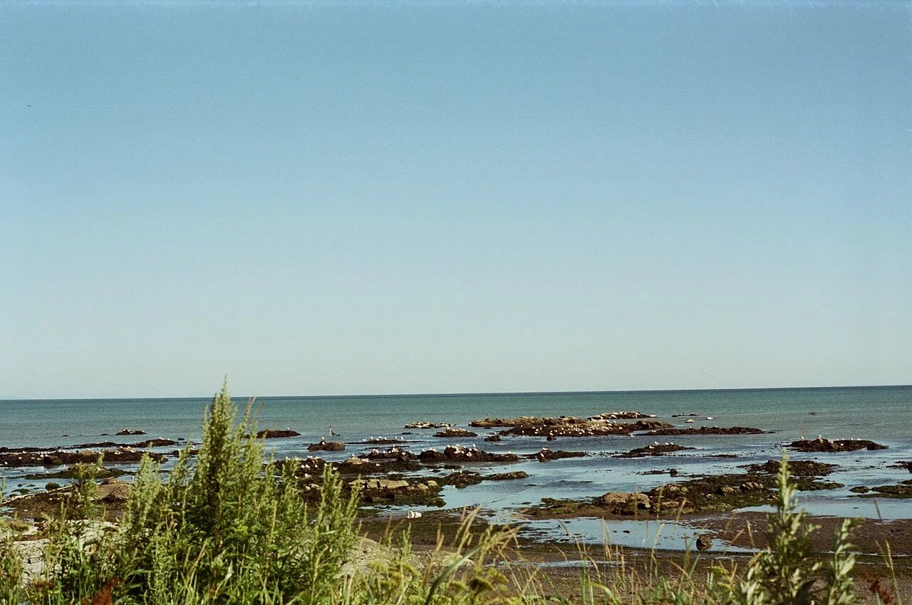 Photo of Starodubskoye