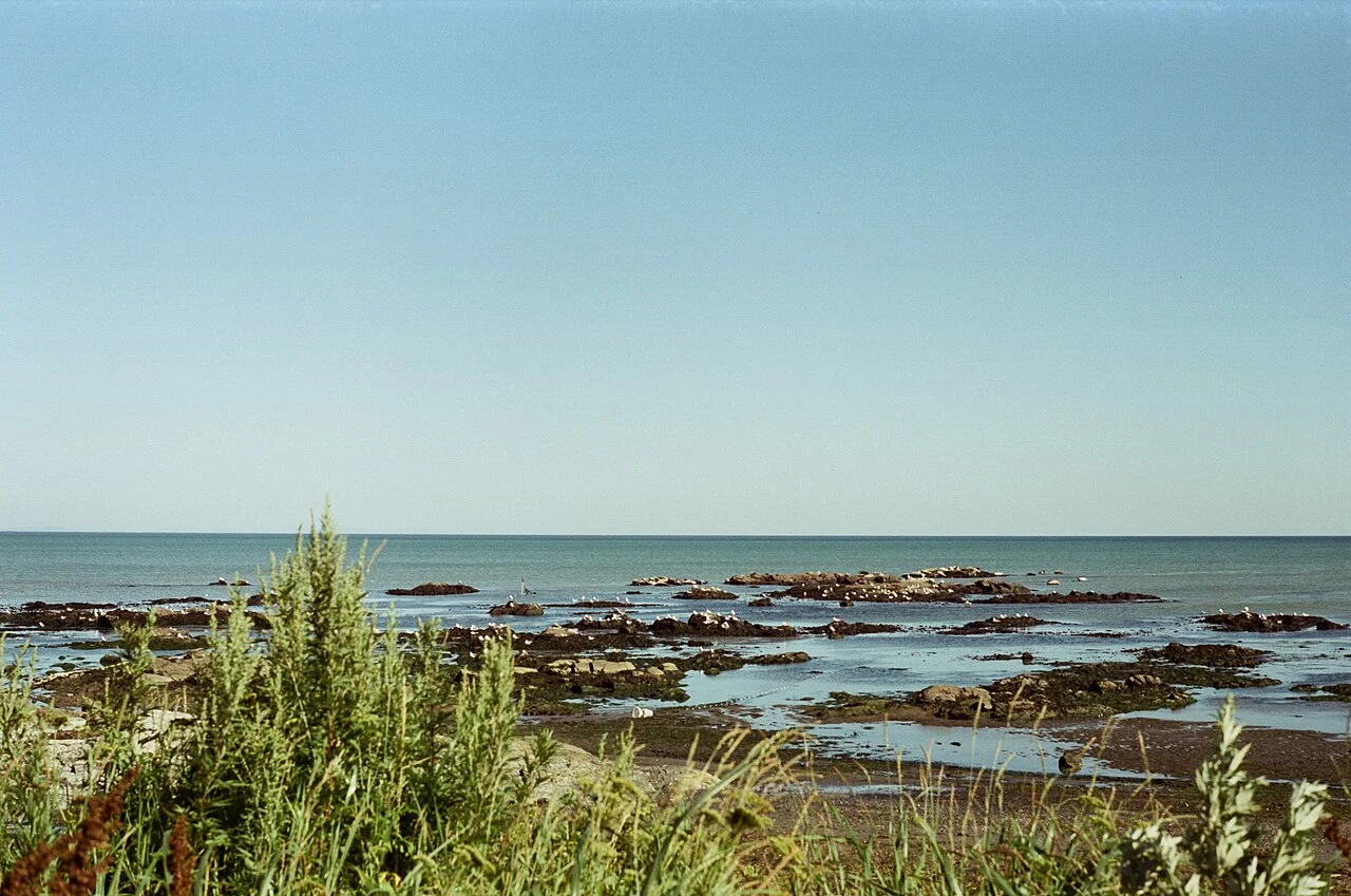 Photo of Starodubskoye