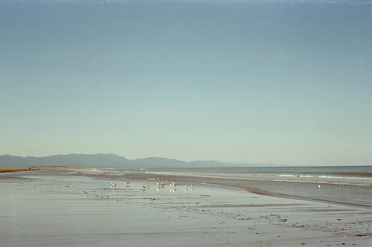 Photo of Starodubskoye