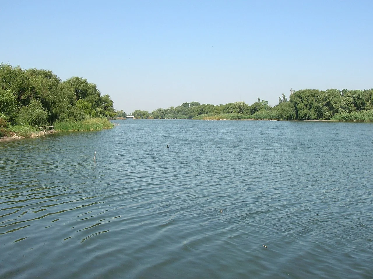 Photo of Staromyshastovskaya