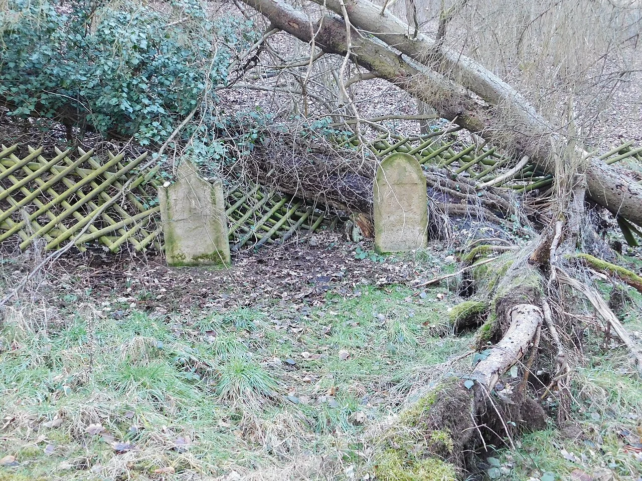 Photo of Staudernheim