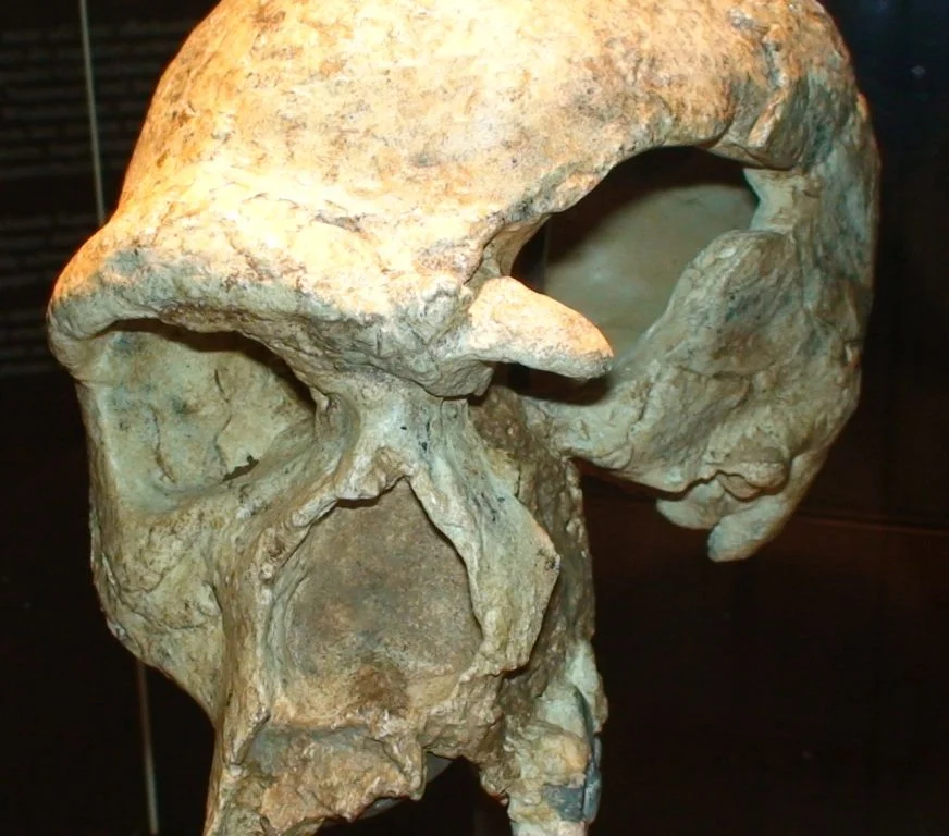 Photo of Steinheim an der Murr