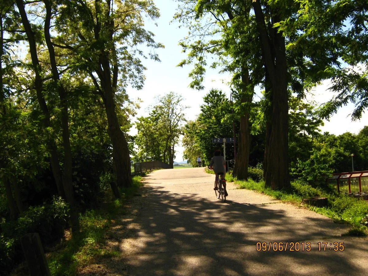 Photo of Steinweiler