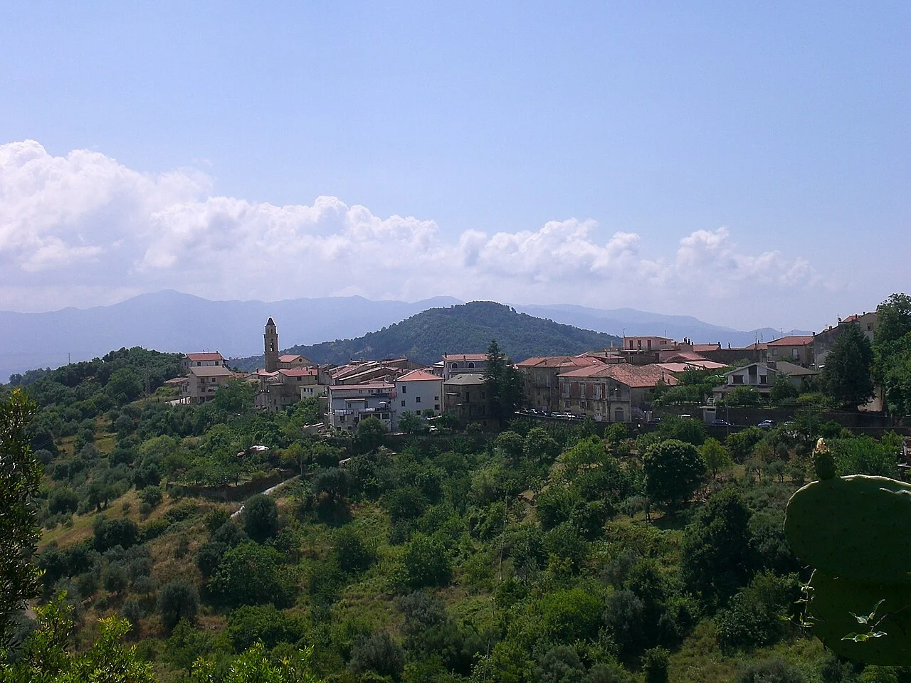 Photo of Stella Cilento