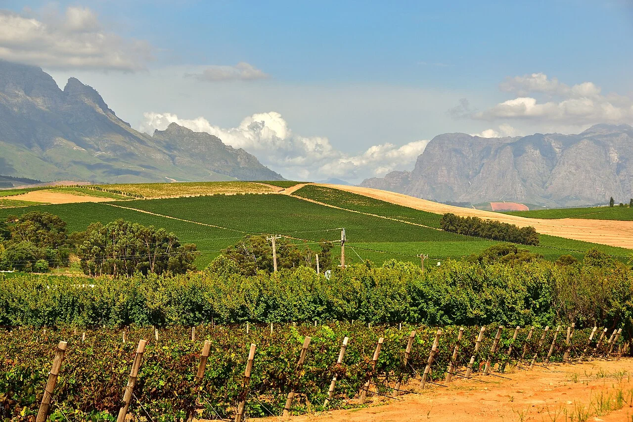 Photo of Stellenbosch