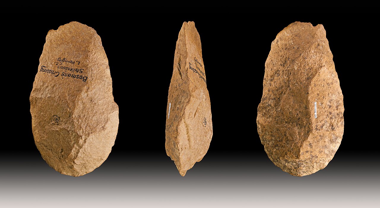 Different views of the same specimen.
