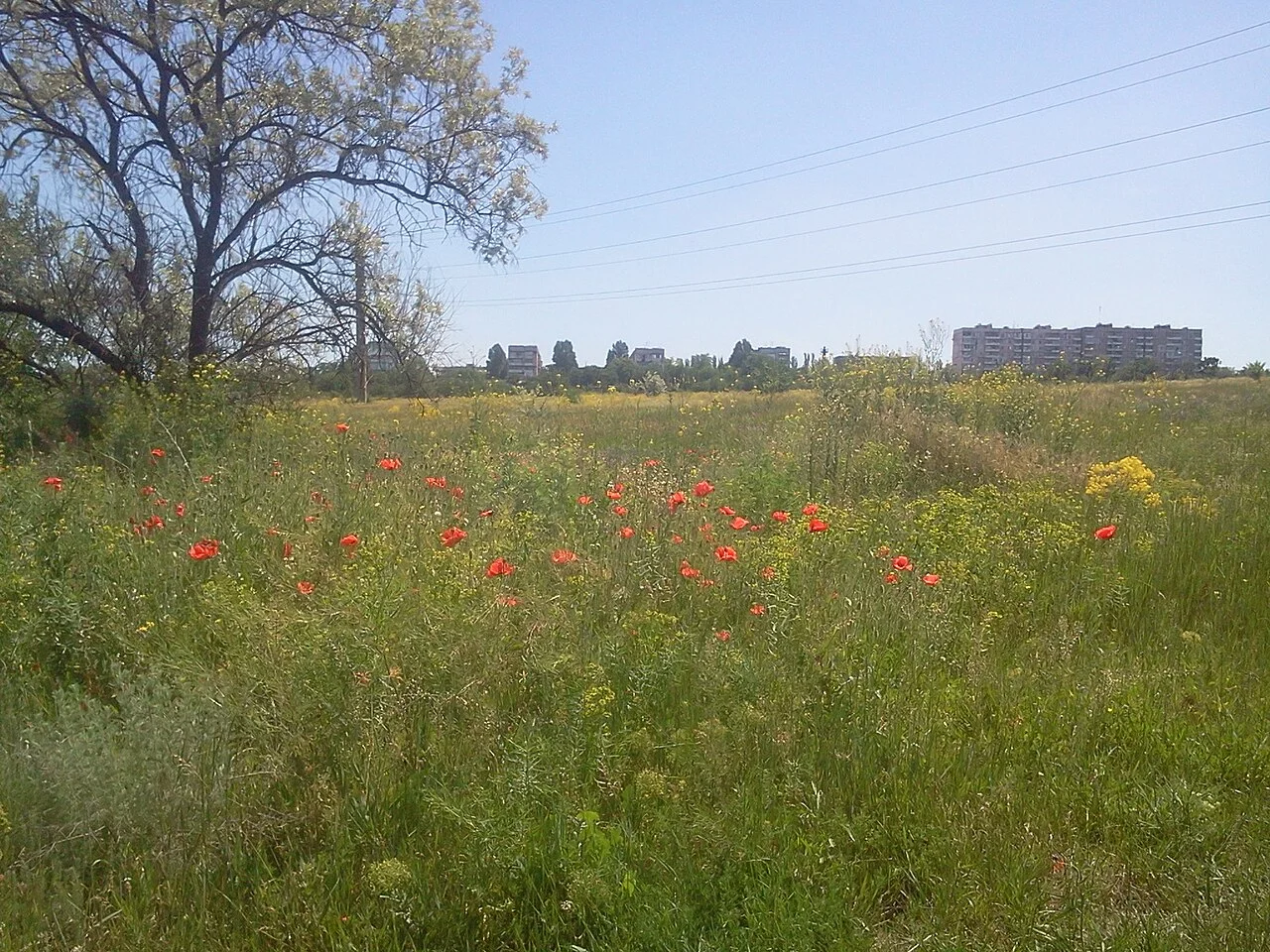 Photo of Stepnohirsk