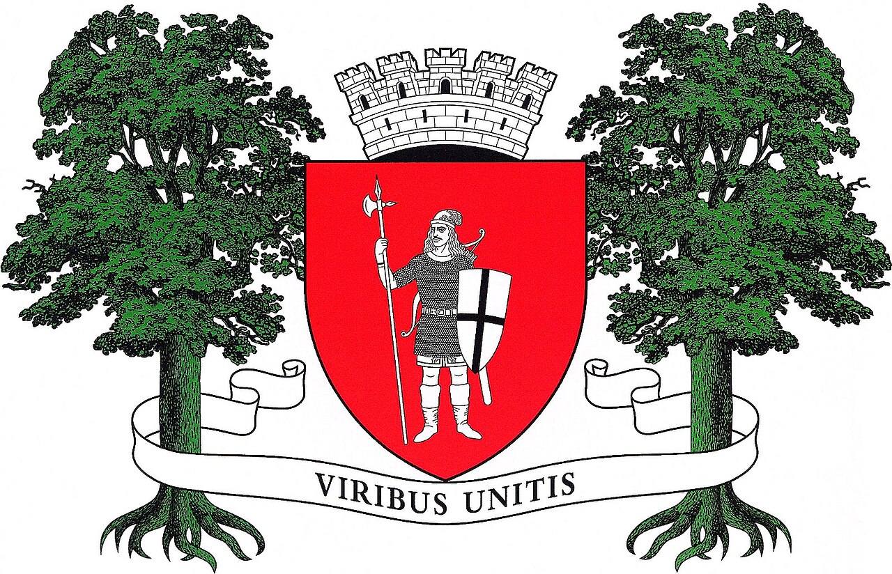 Coat of arms of  Strășeni, Moldova