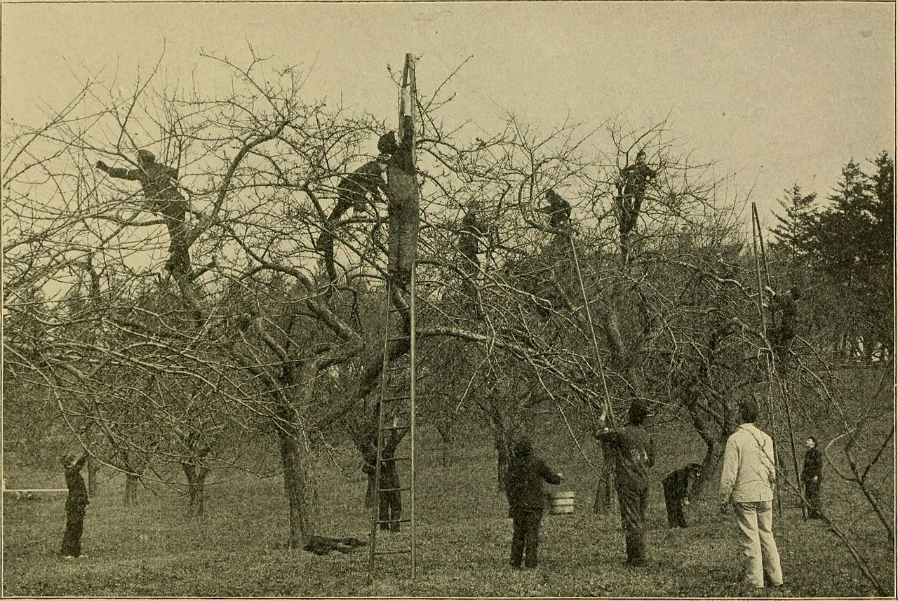 Photo of Stratham Station