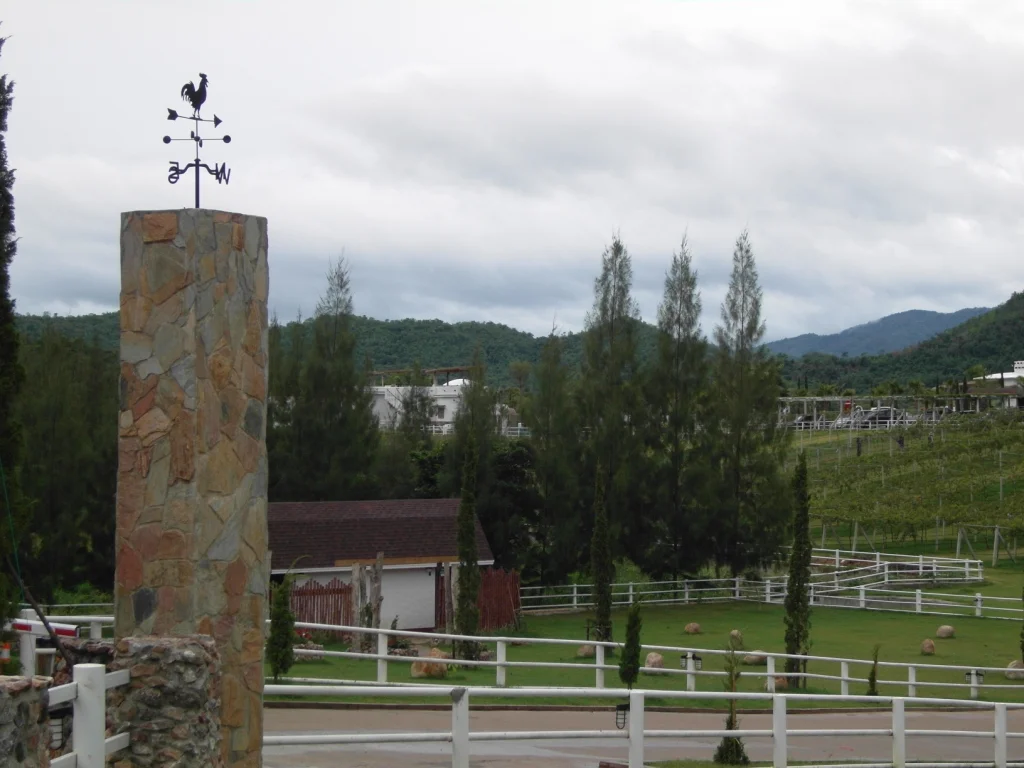 Photo of Suan Phueng