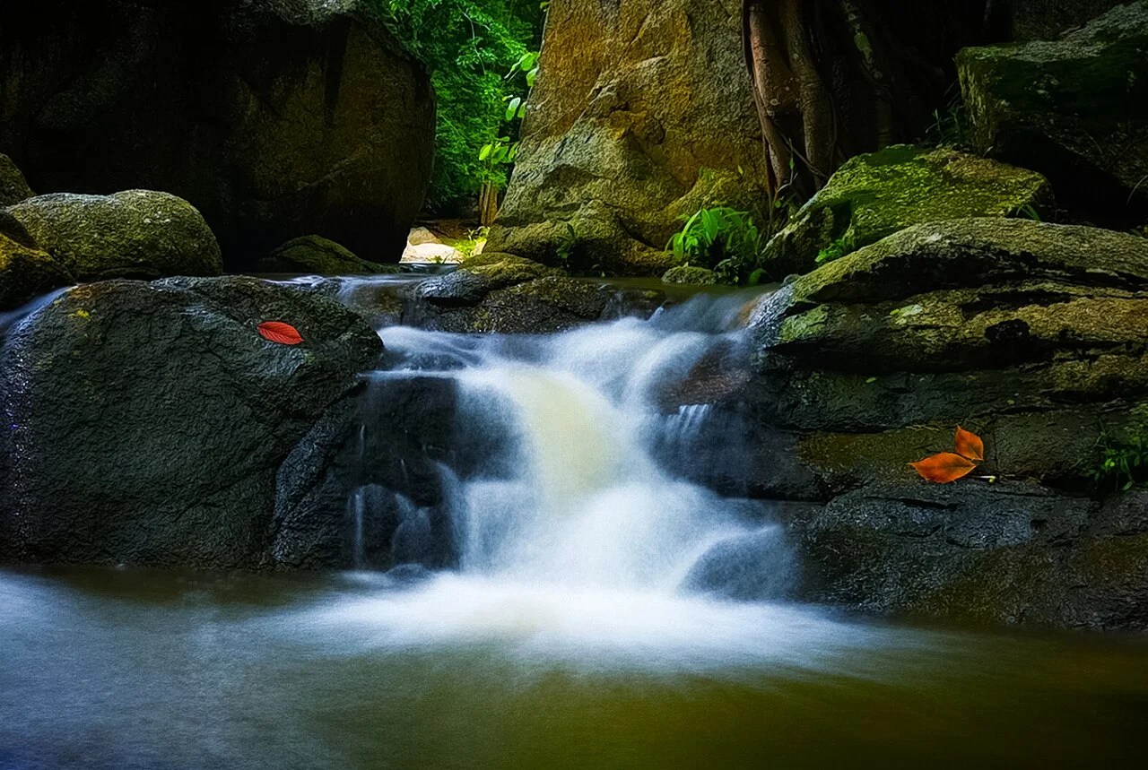 Photo of Suan Phueng