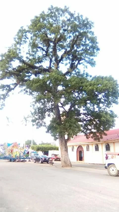 Photo of Suchilapan del Río