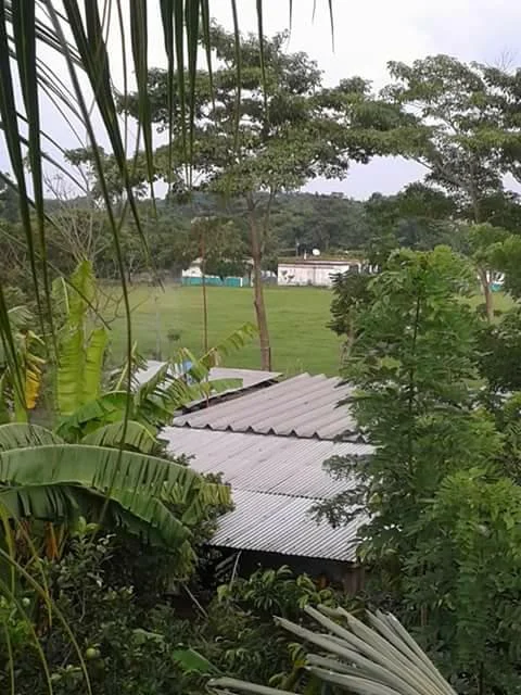 Photo of Suchilapan del Río