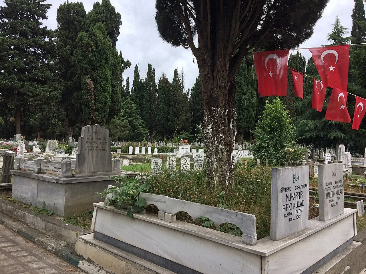Photo of Sülüklü