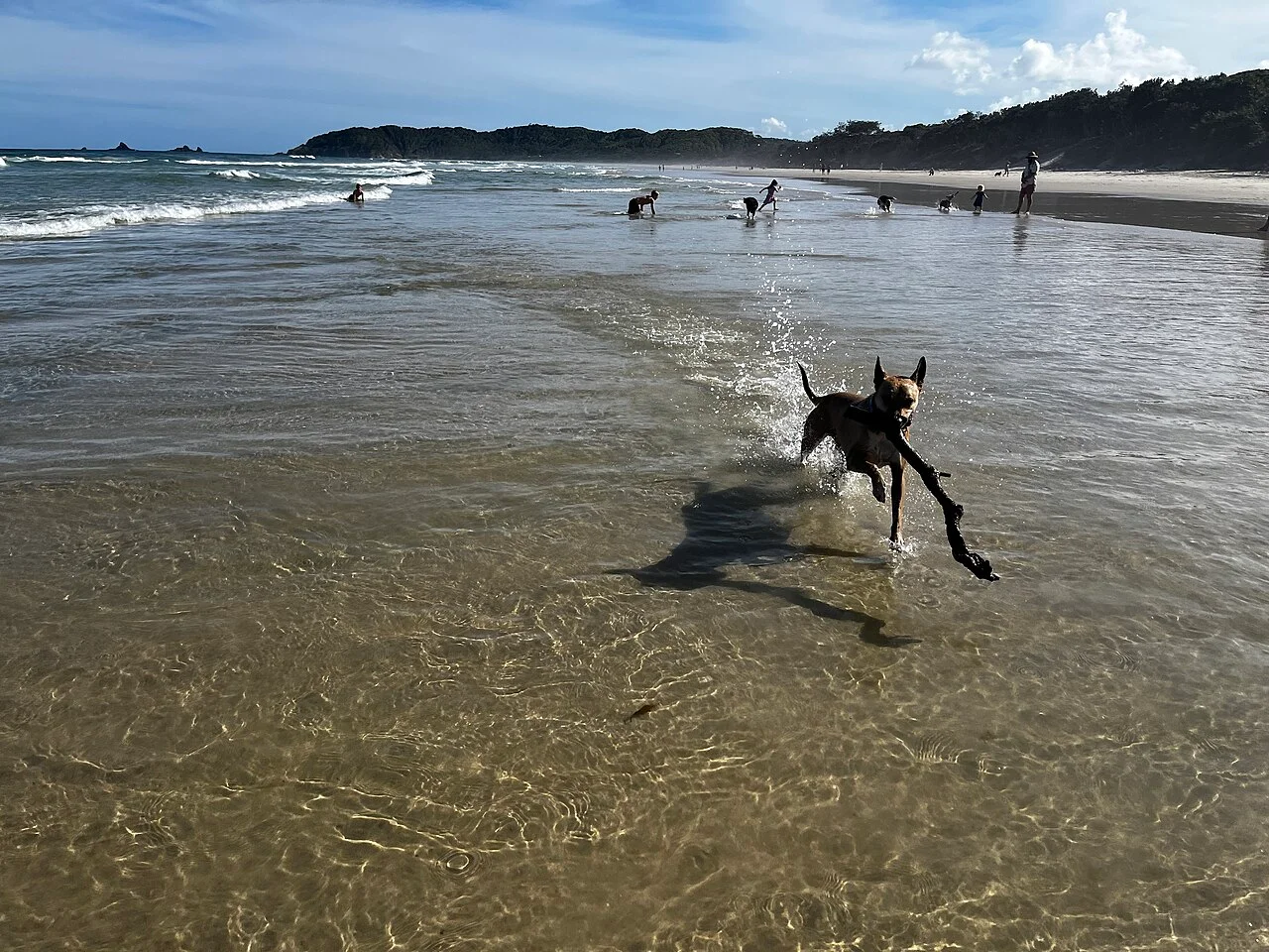 Photo of Suffolk Park