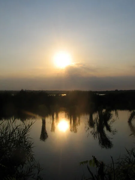 Photo of Sukhyi Lyman