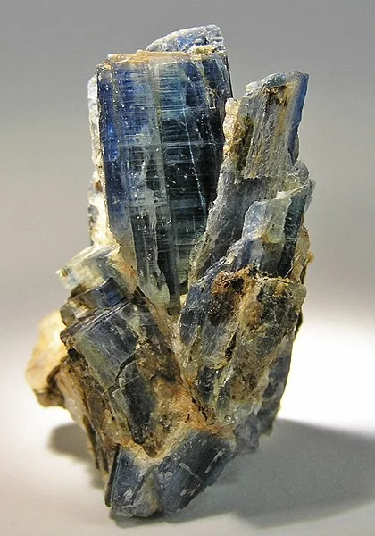 Photo of Sultan Hamud