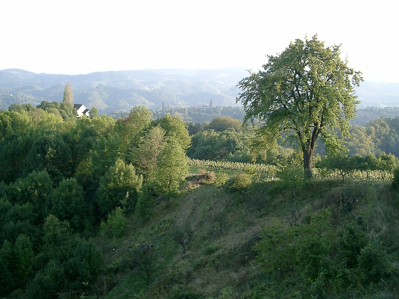 Photo of Sulztal an der Weinstraße