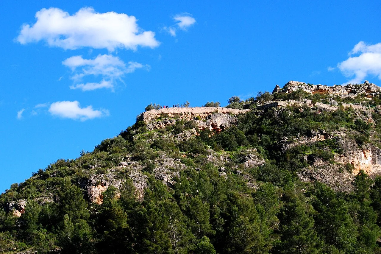 Photo of Sumacàrcer
