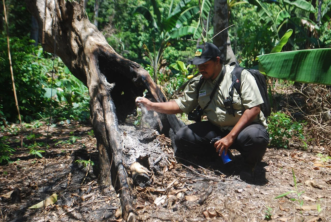 Photo of Sumbermanjing Wetan