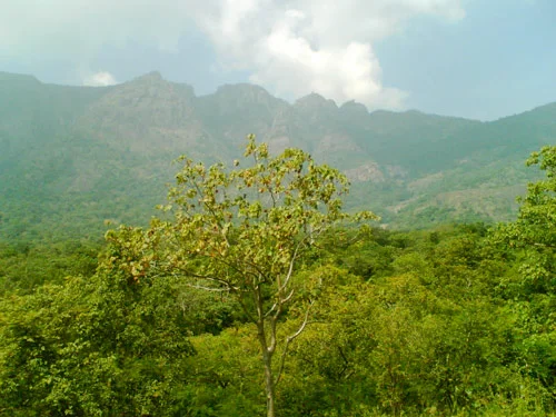 Photo of Sundarapāndiyam