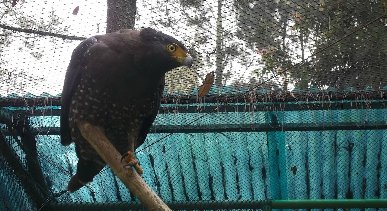 Photo of Sungai Salak