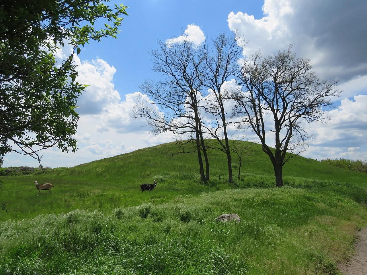 Photo of Sursko-Mykhailivka