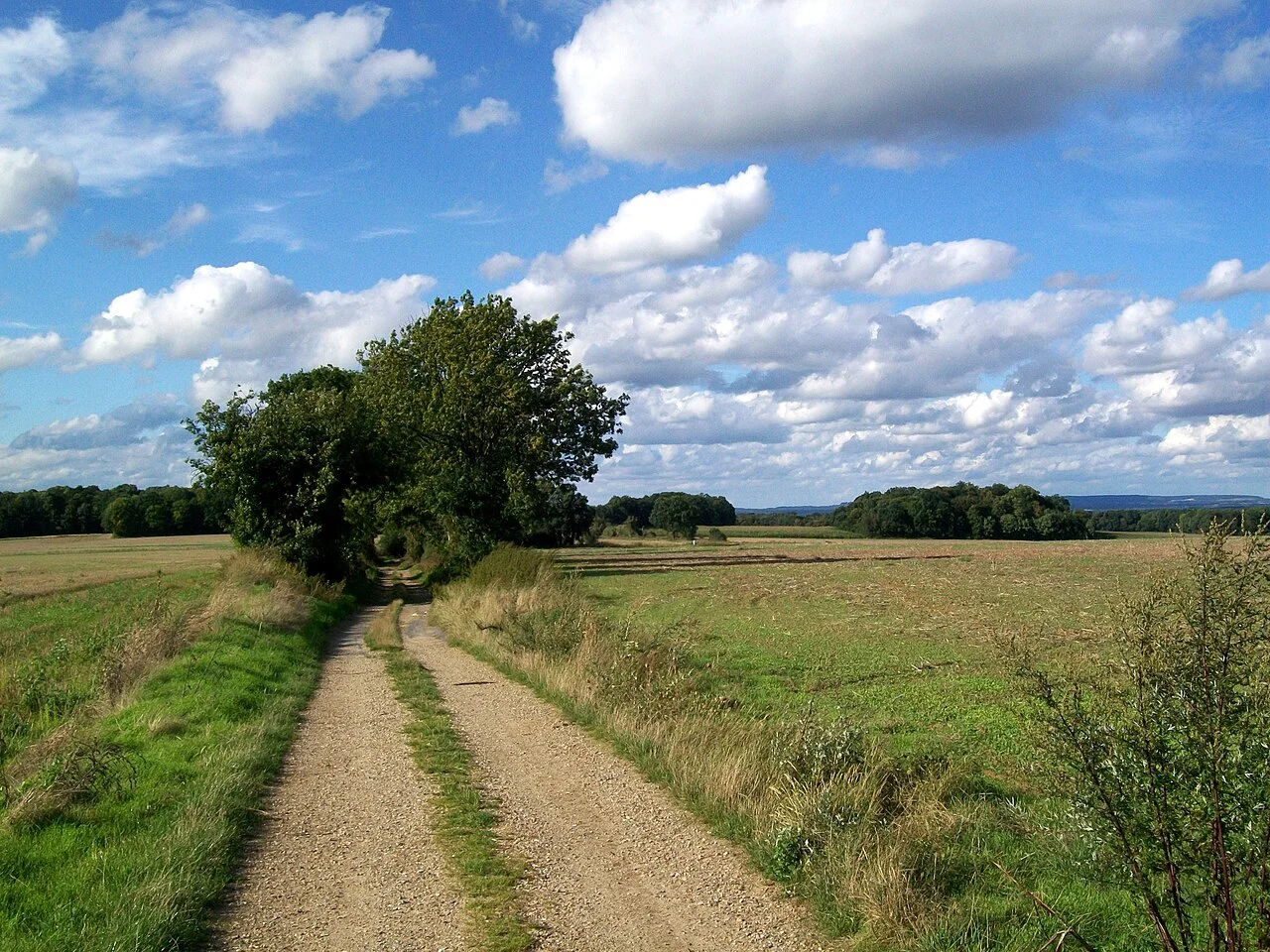 Photo of Survilliers