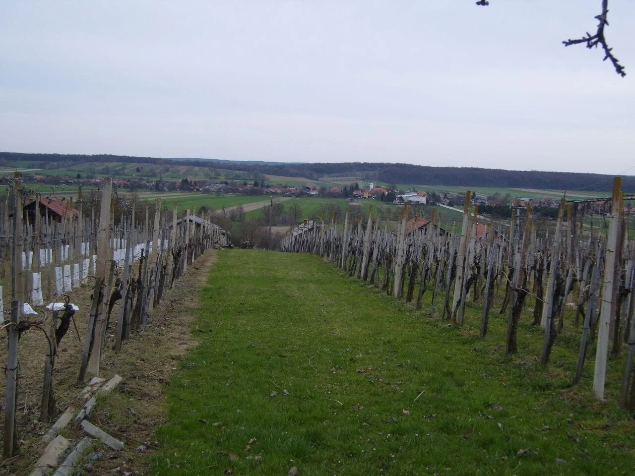 Photo of Sveti Martin na Muri