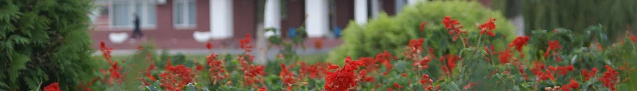 Photo of Svetlogorsk