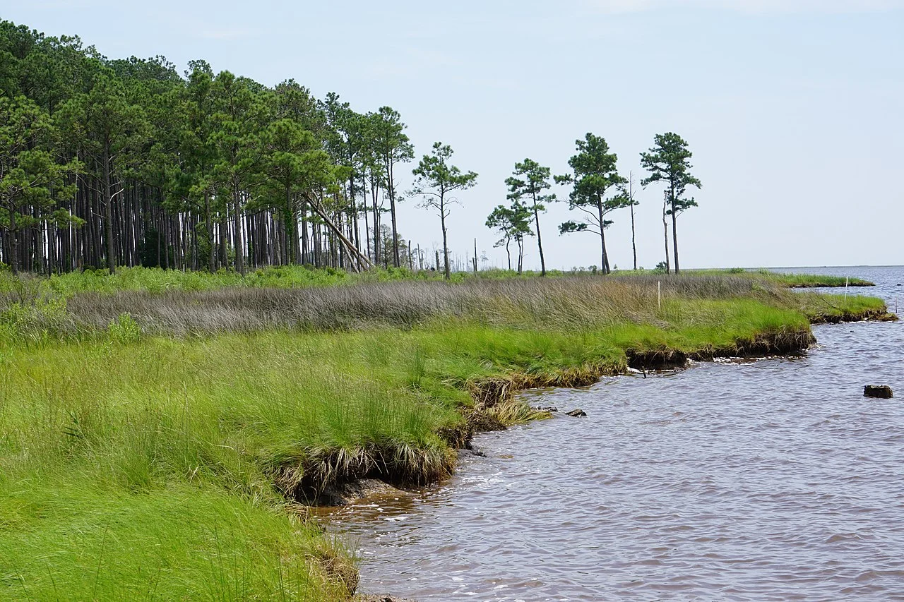 Photo of Swanquarter
