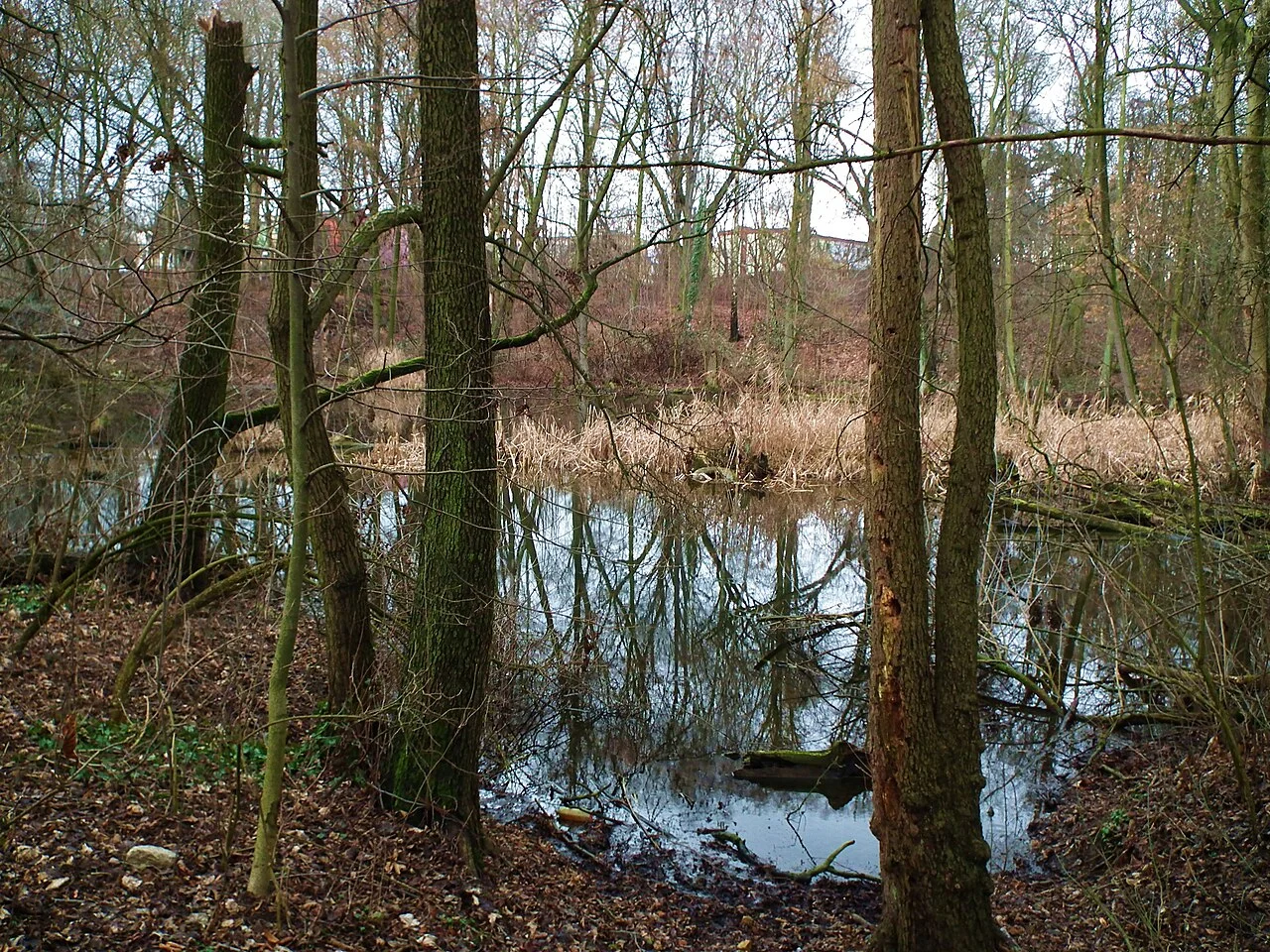 Photo of Świerczewo