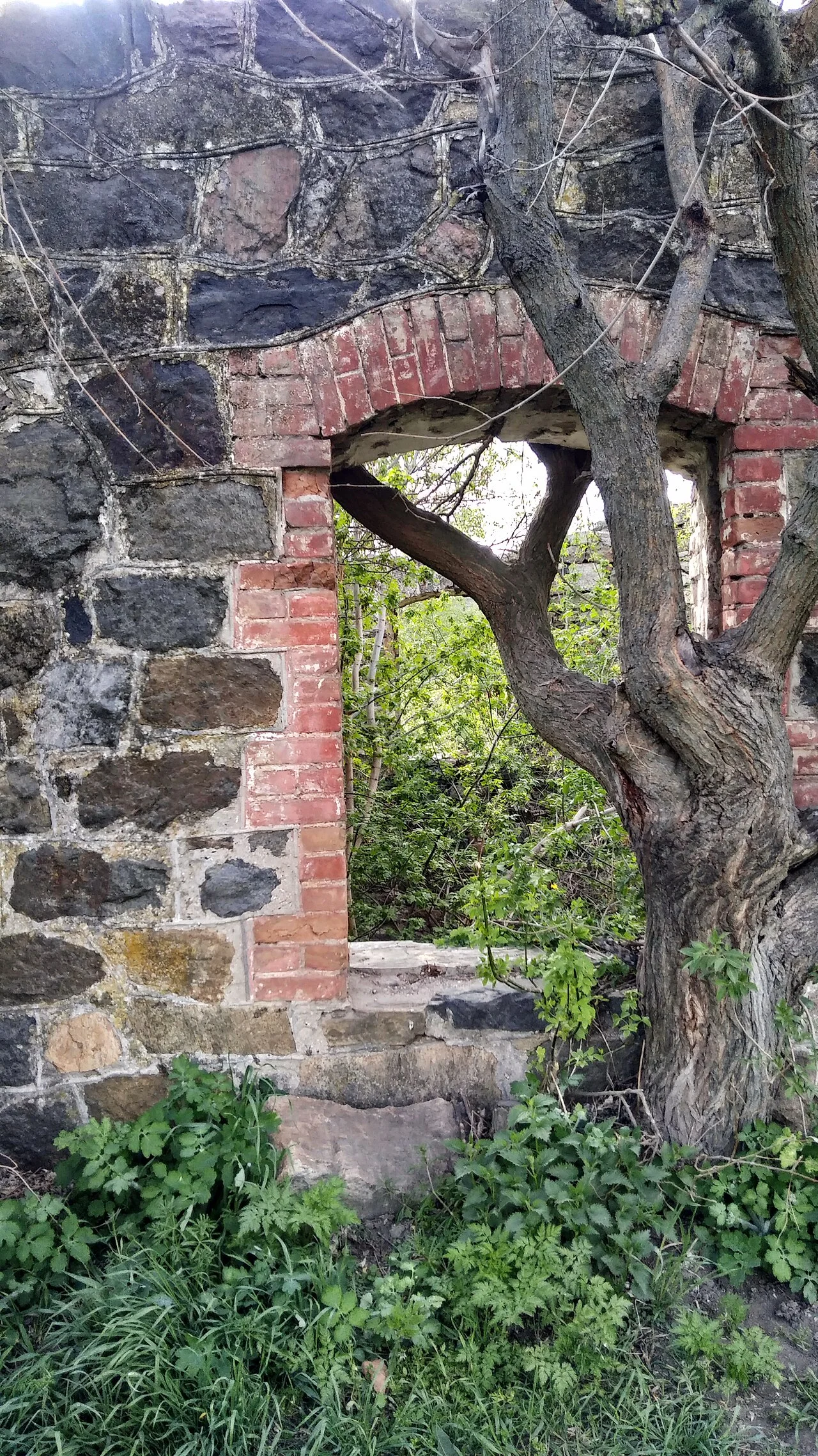 Photo of Syniukhyn Brid