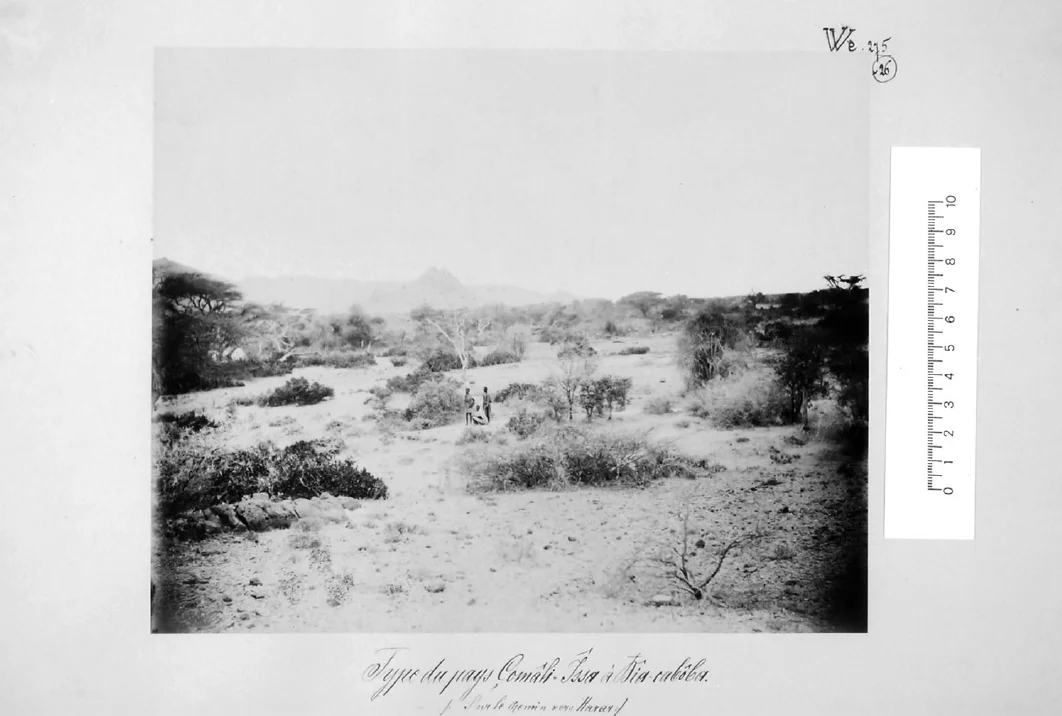 Photo of T’īs Isat