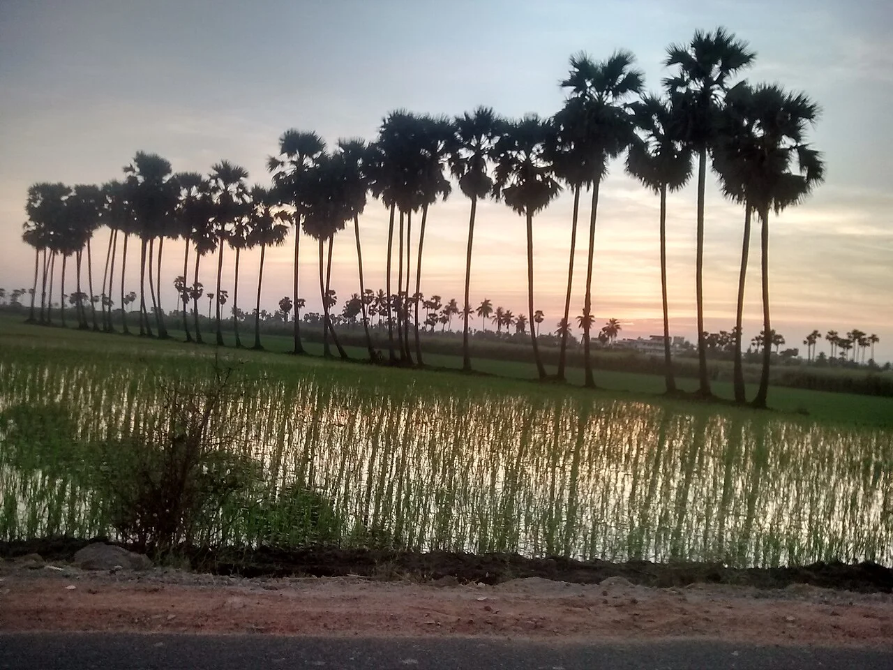 Photo of Tādigadapa