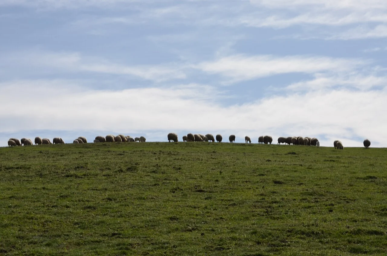 Photo of Tahtaköprü