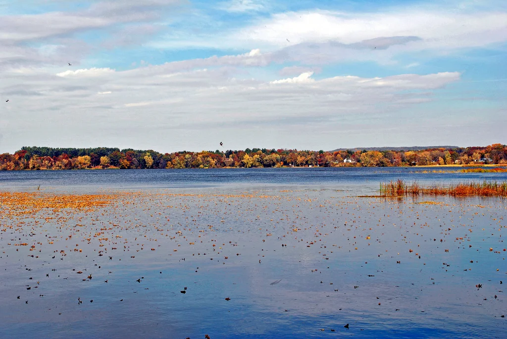 Photo of Tainter Lake