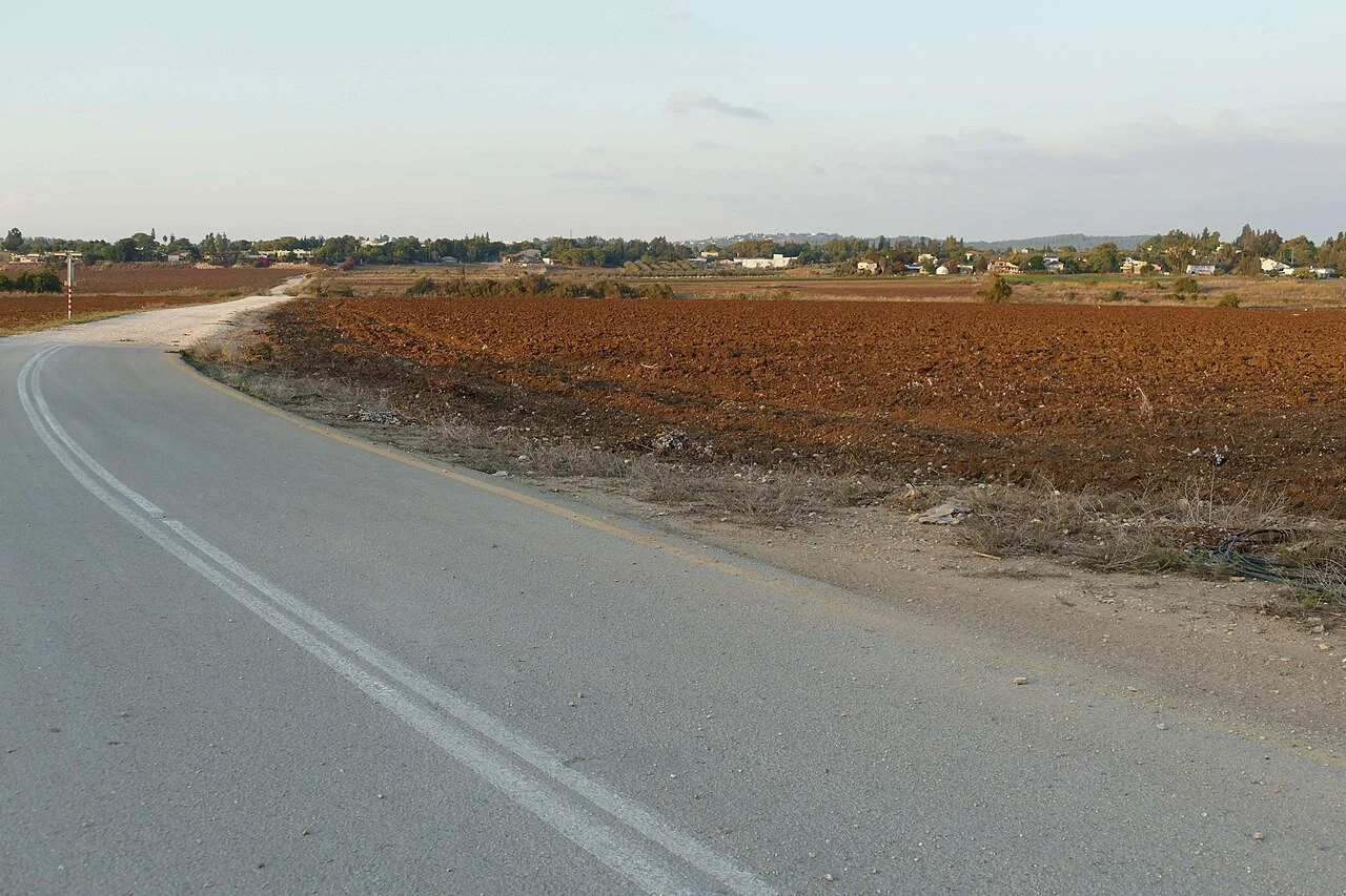 Photo of Tal Shaẖar