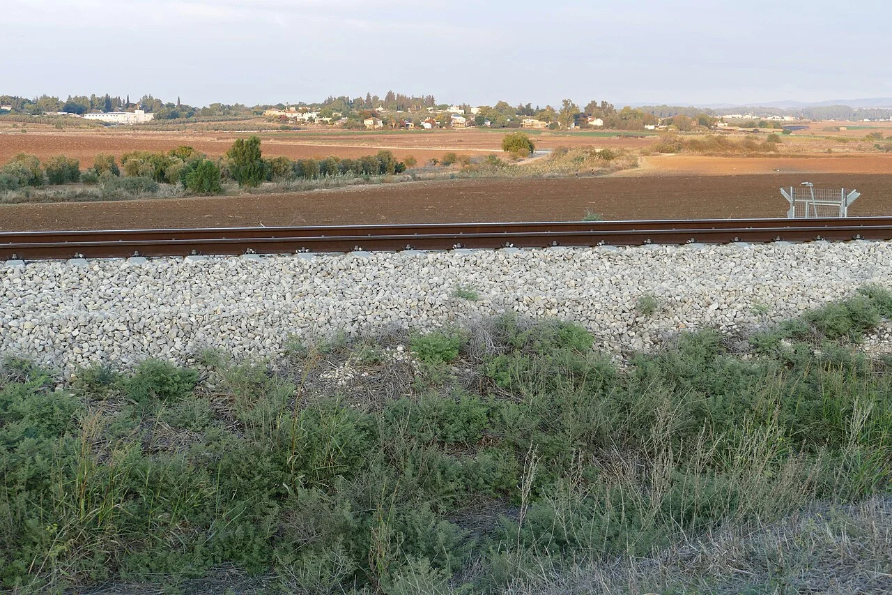 Photo of Tal Shaẖar