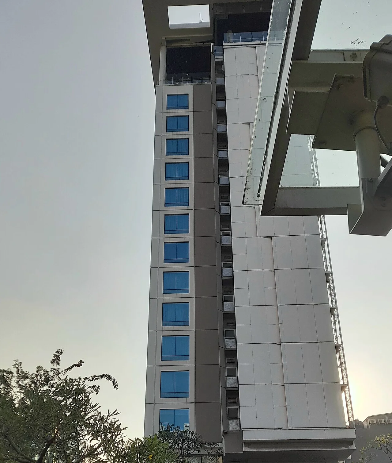 Photo of Talangbetutu