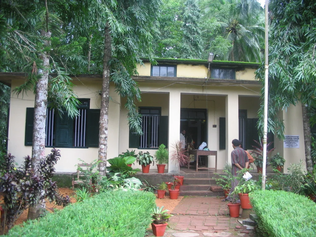 Photo of Taliparamba