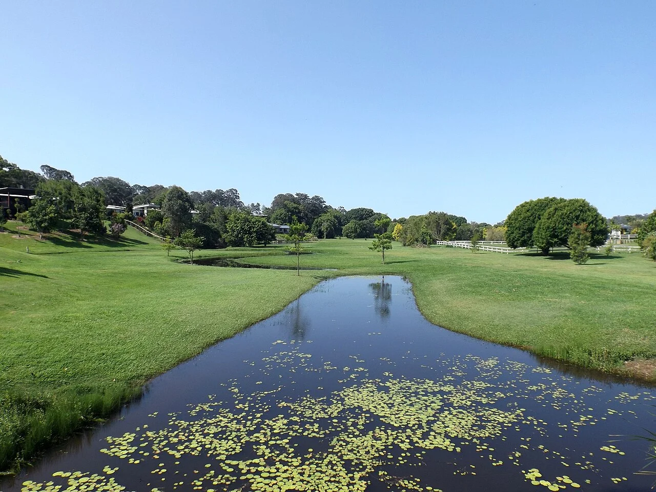 Photo of Tallebudgera Valley