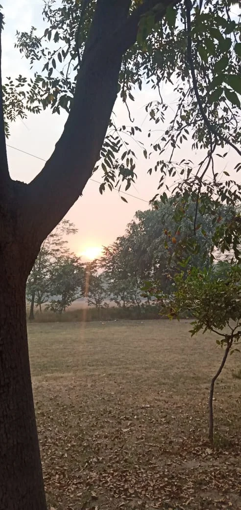 Photo of Talwandi Sābo