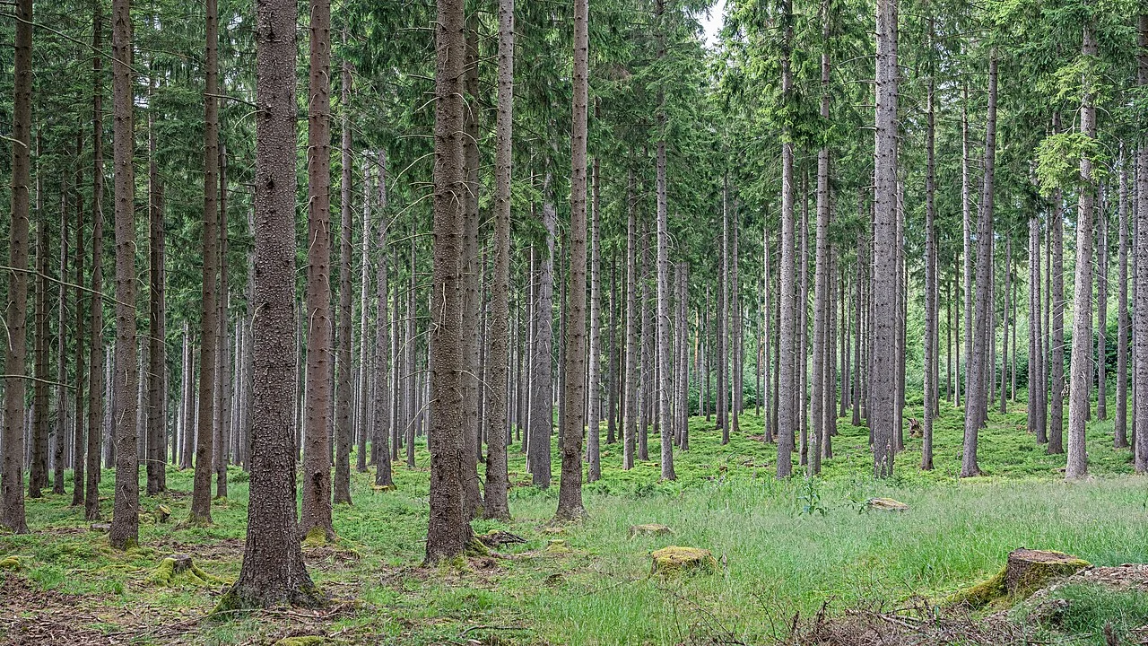 Photo of Tambach-Dietharz