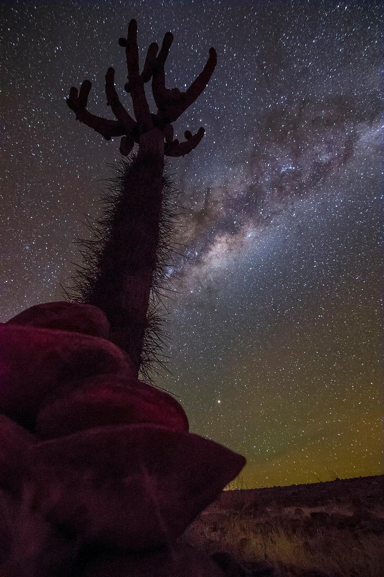 Photo of Tambo Quemado