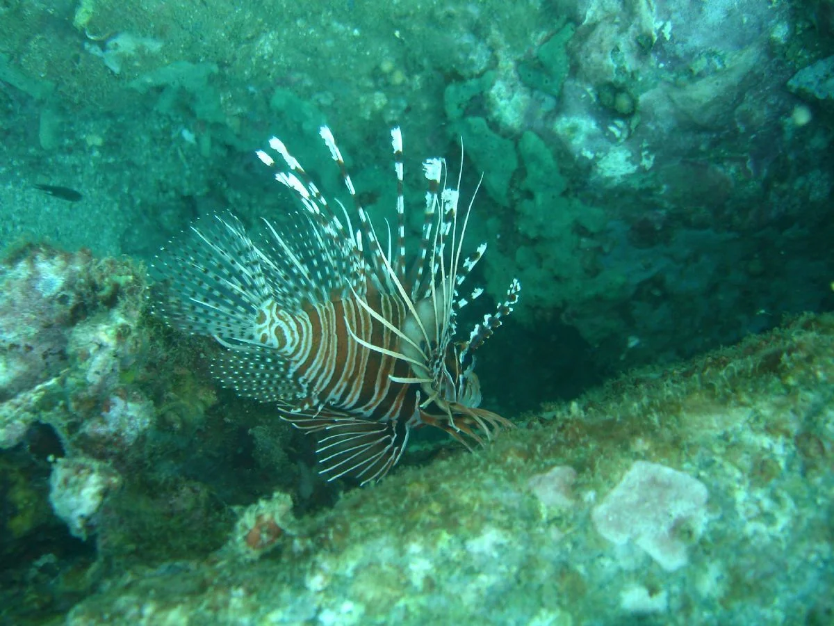 Photo of Tân Hiệp