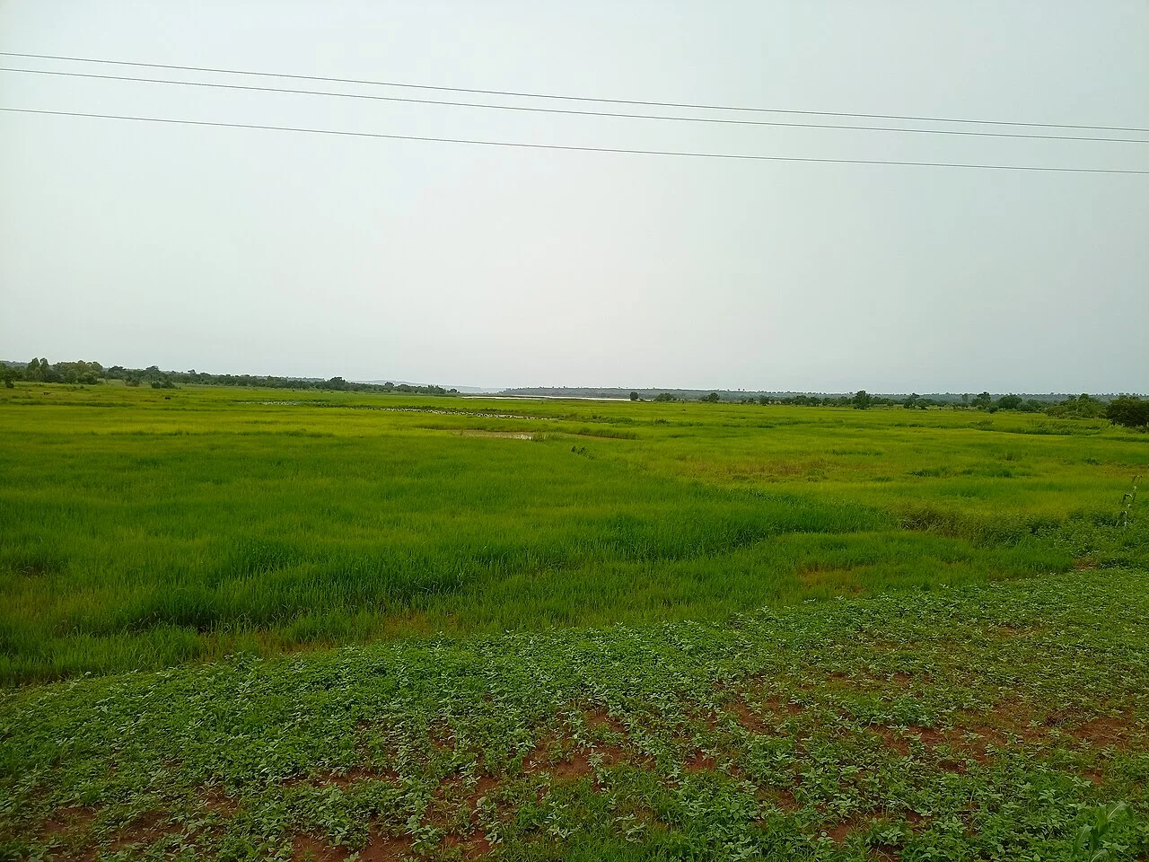 Photo of Tandjouaré