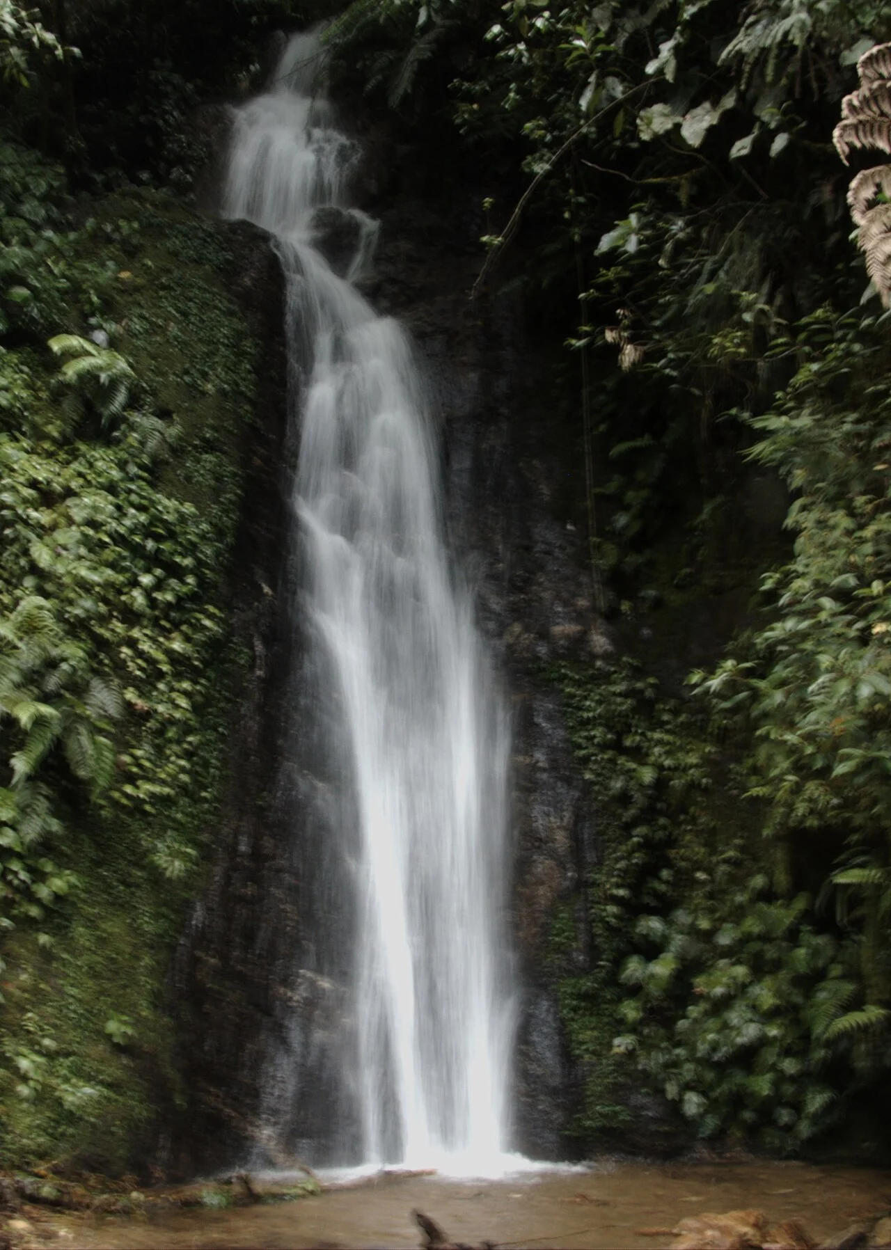 Photo of Tanetze de Zaragoza