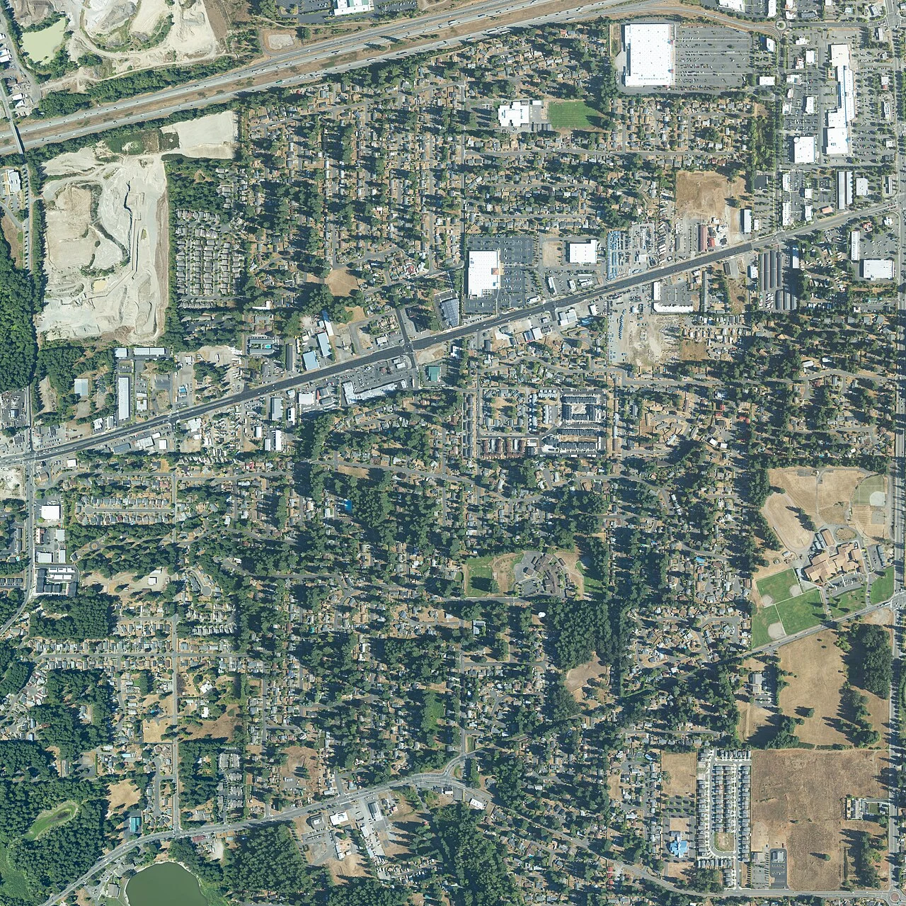 Photo of Tanglewilde